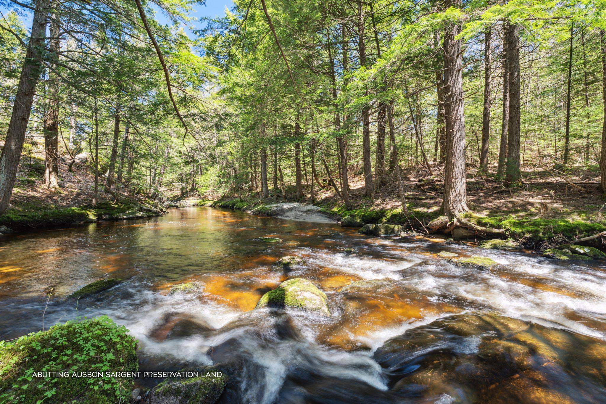 318 Center Road Bradford, NH 03221 - Photo 25 of 33