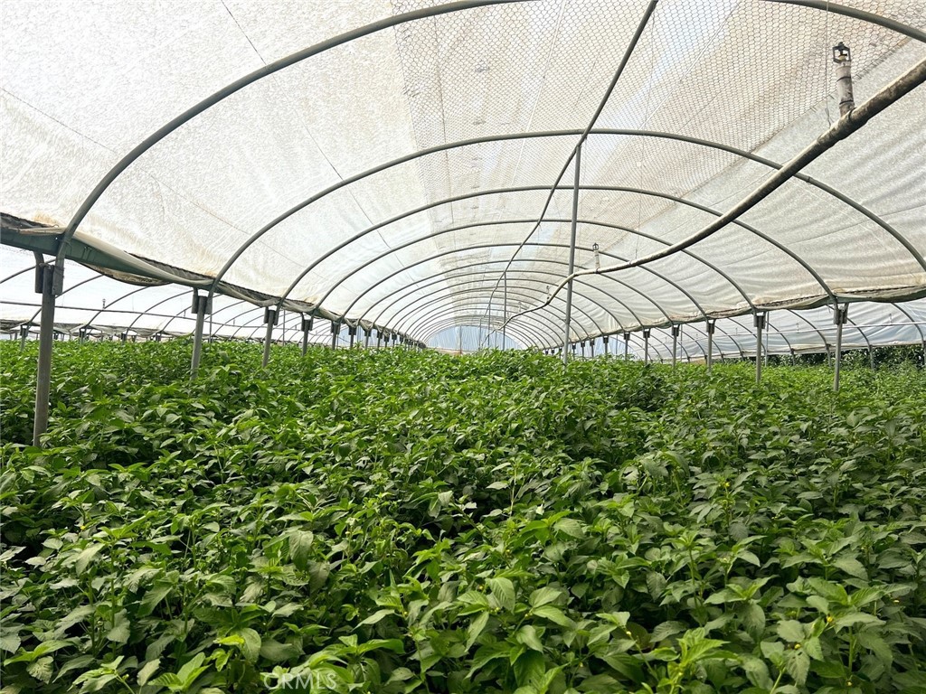 0 Winters Lane Riverside, CA 92503 - Photo 3 of 8