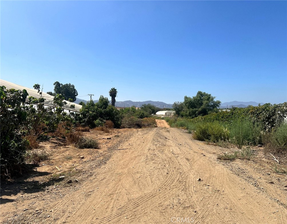0 Winters Lane Riverside, CA 92503 - Photo 5 of 8 a view of a dry yard with a tree