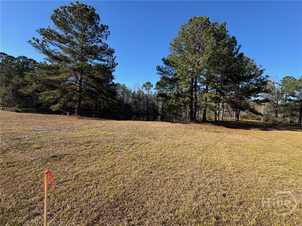 5033 McCall Road Rincon, GA 31326 - Photo 3 of 6