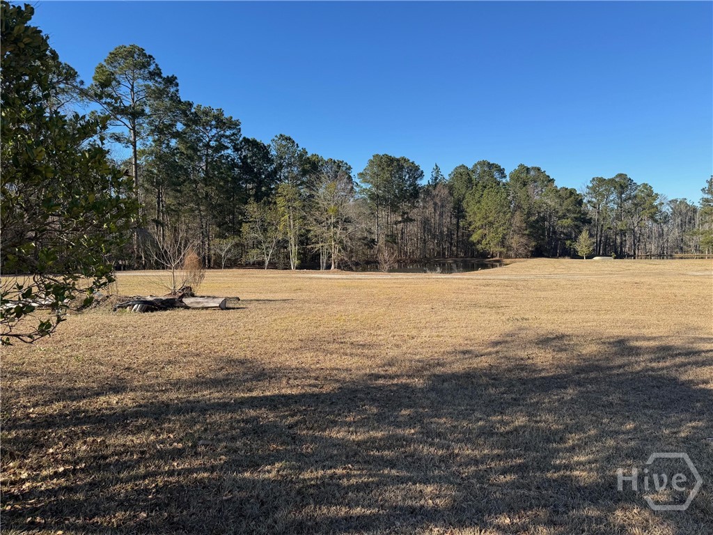 5033 McCall Road Rincon, GA 31326 - Photo 6 of 6