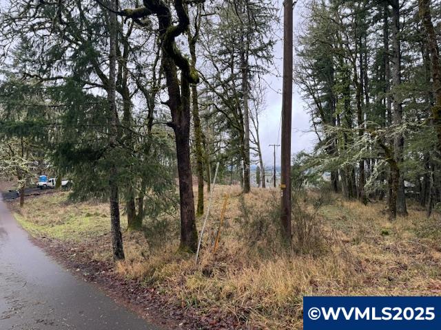 0 Northwest Maier Lane Albany, OR 97321 - Photo 4 of 25