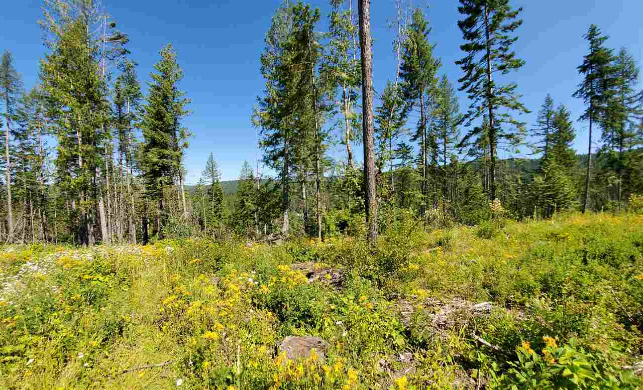 Tba North Wallis Road Mead, WA 99021 - Photo 1 of 31