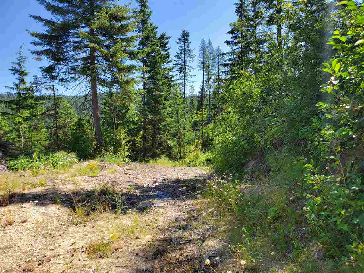 Tba North Wallis Road Mead, WA 99021 - Photo 21 of 31
