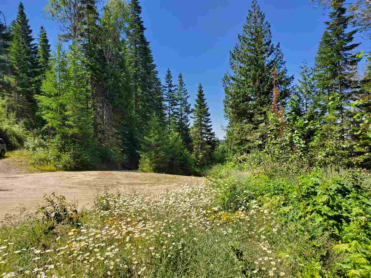 Tba North Wallis Road Mead, WA 99021 - Photo 27 of 31
