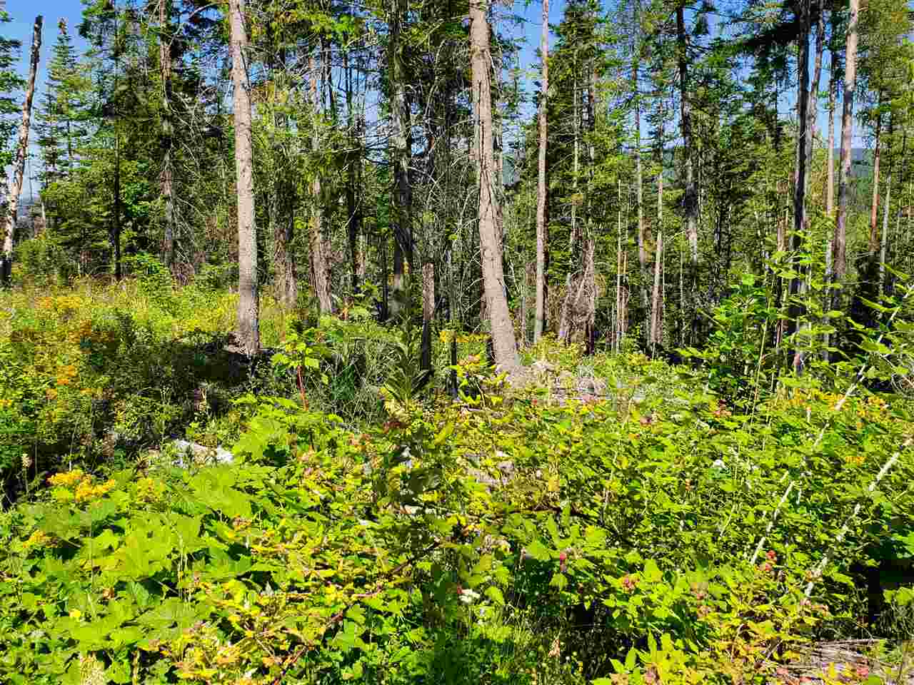 Tba North Wallis Road Mead, WA 99021 - Photo 10 of 31