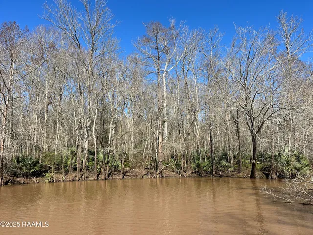 $240,000 | 4 South Levee Road, Port Barre, LA 70577