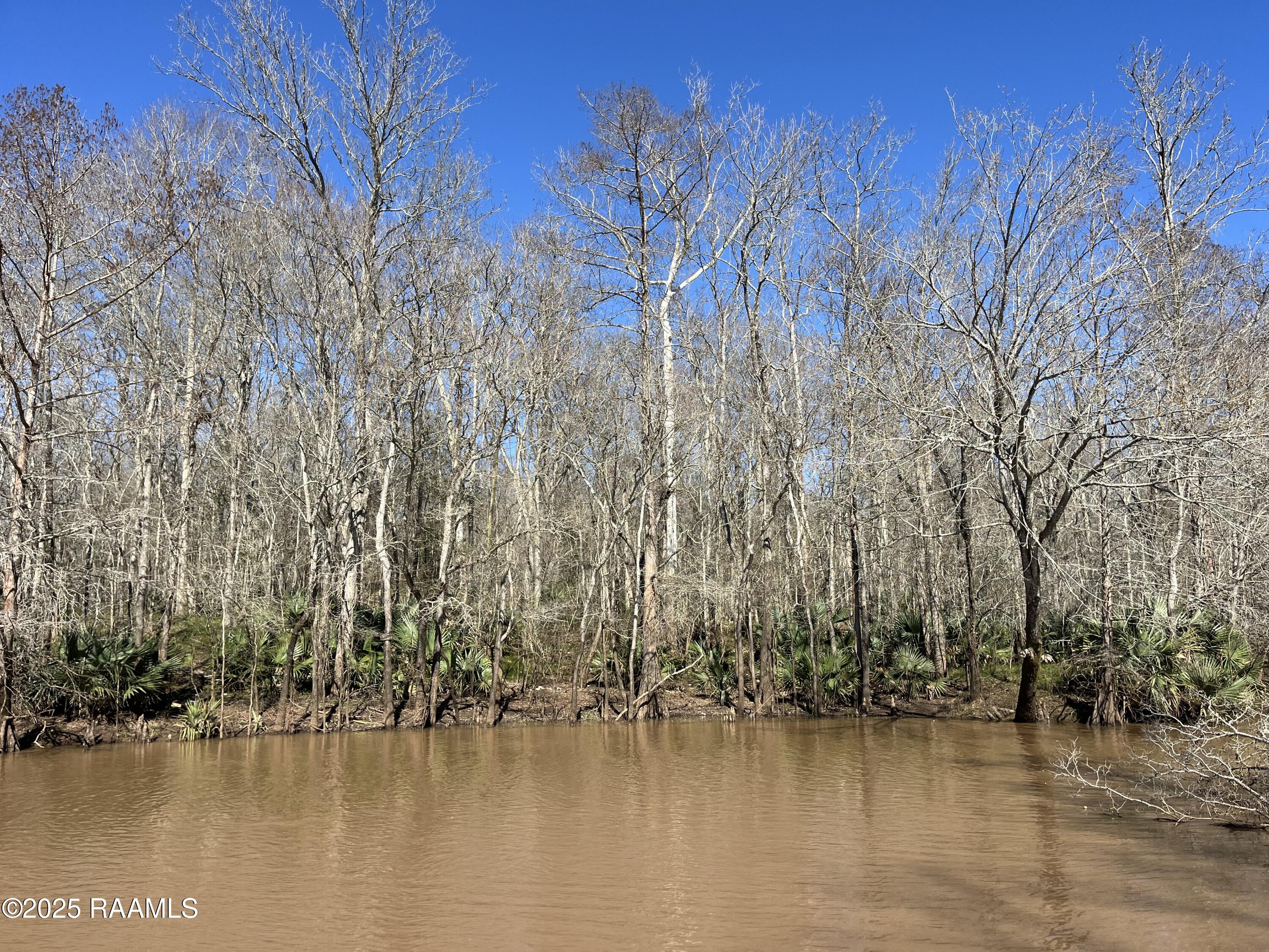 4 South Levee Road Port Barre, LA 70577 - Photo 2 of 6 IMG_2279