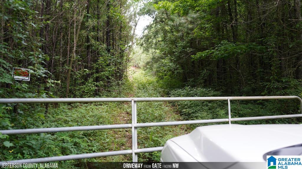 9289 Johns Road Brookwood, AL 35444 - Photo 19 of 38