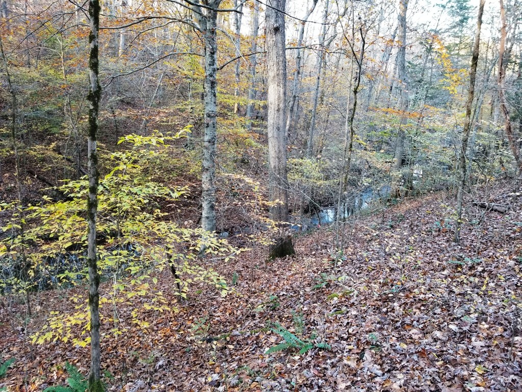 0 Deer Ridge Road Kingston Springs, TN 37082 - Photo 7 of 9 Gallery Image 7