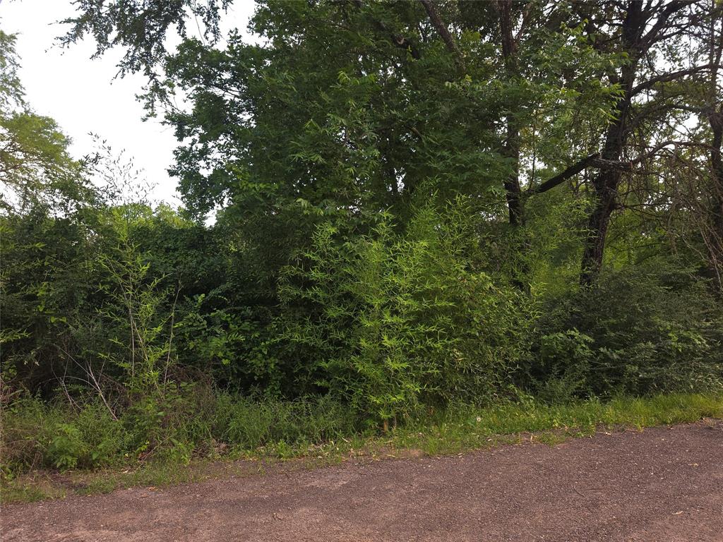 115 Abrams Road Gun Barrel City, TX 75156 - Photo 1 of 3 a view of a yard with plants and large trees