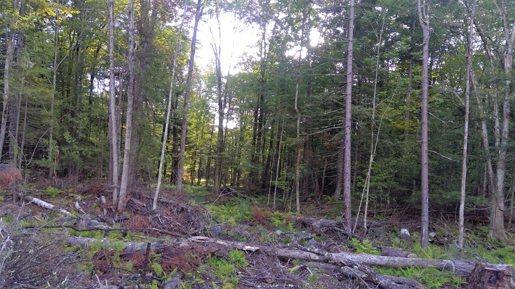 1 John Ford Road Ashfield, MA 01330 - Photo 9 of 10 Gallery Image 9