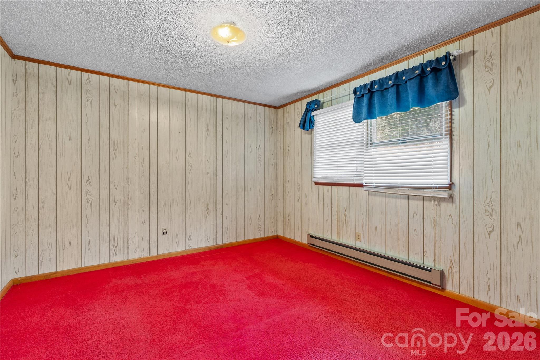 154 Wilson Drive Canton, NC 28716 - Photo 18 of 47