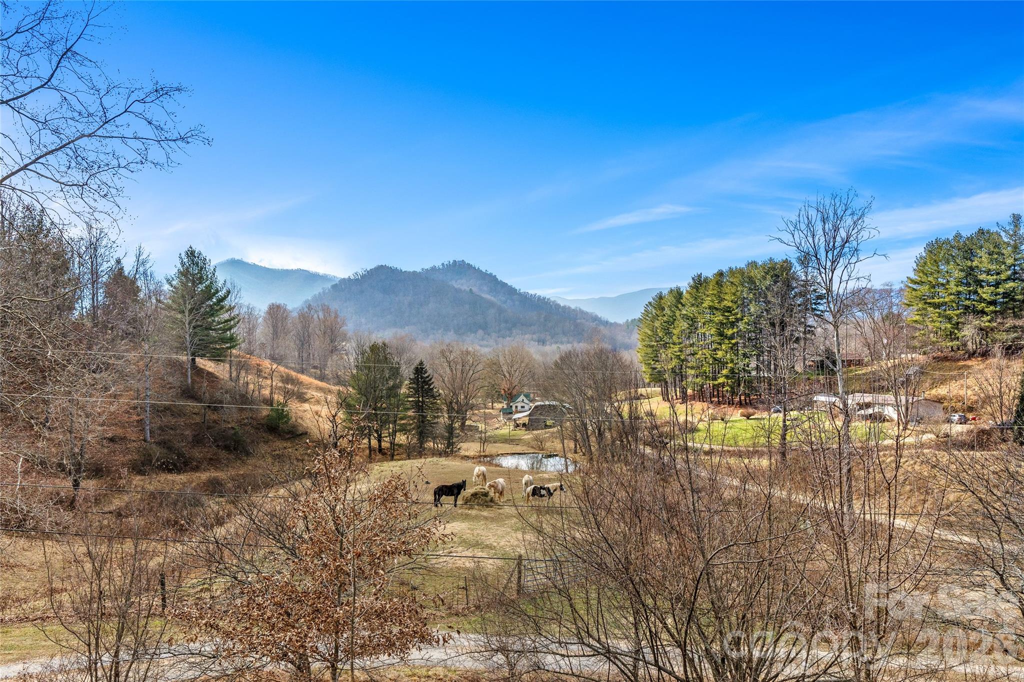 154 Wilson Drive Canton, NC 28716 - Photo 5 of 47