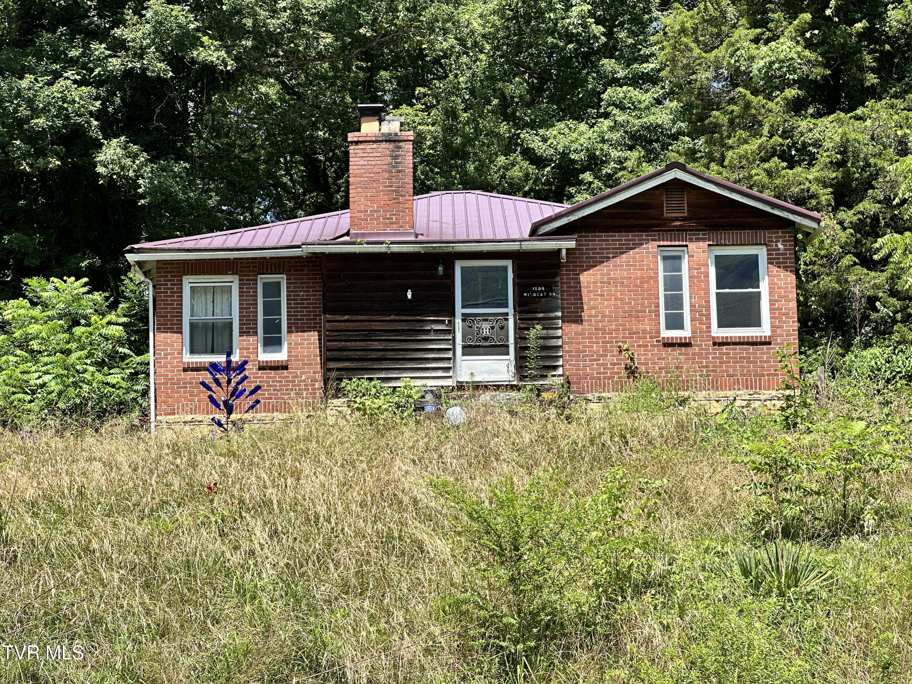 1509 Wildcat Road Big Stone Gap, VA 24219 - Photo 28 of 29 IMG_4258