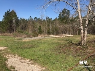 2478 Luke Rivers Road McIntosh, AL 36553 - Photo 22 of 22 North Side with Slab