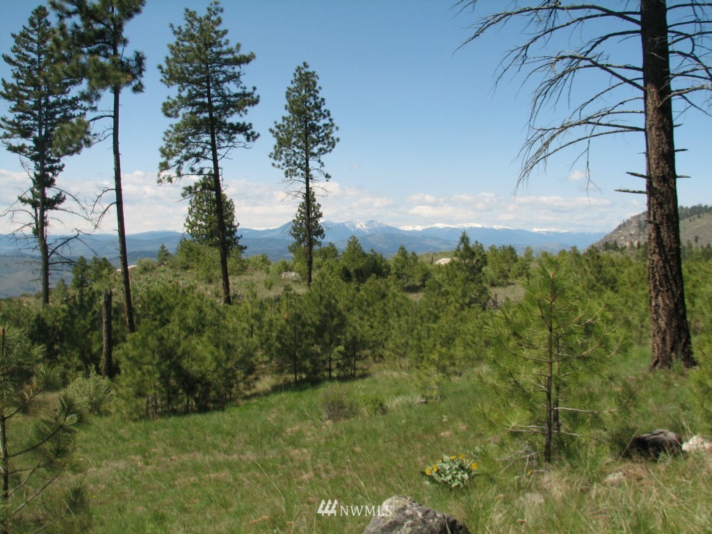 533 Swanson Mill Road Tonasket, WA 98855 - Photo 14 of 15 Gallery Image 14