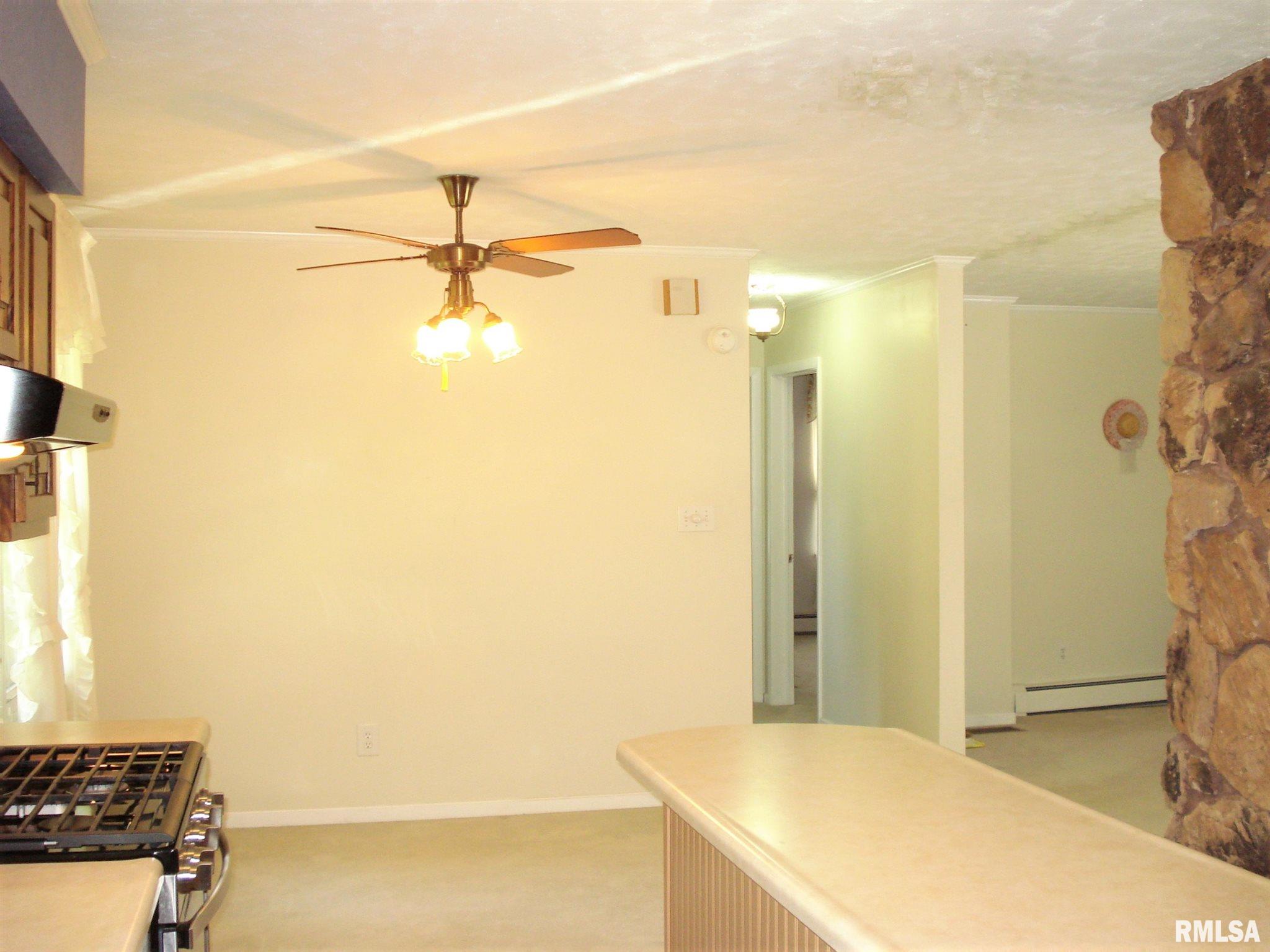 109 Henderson Road Knoxville, IL 61448 - Photo 11 of 31 Gallery Image 11