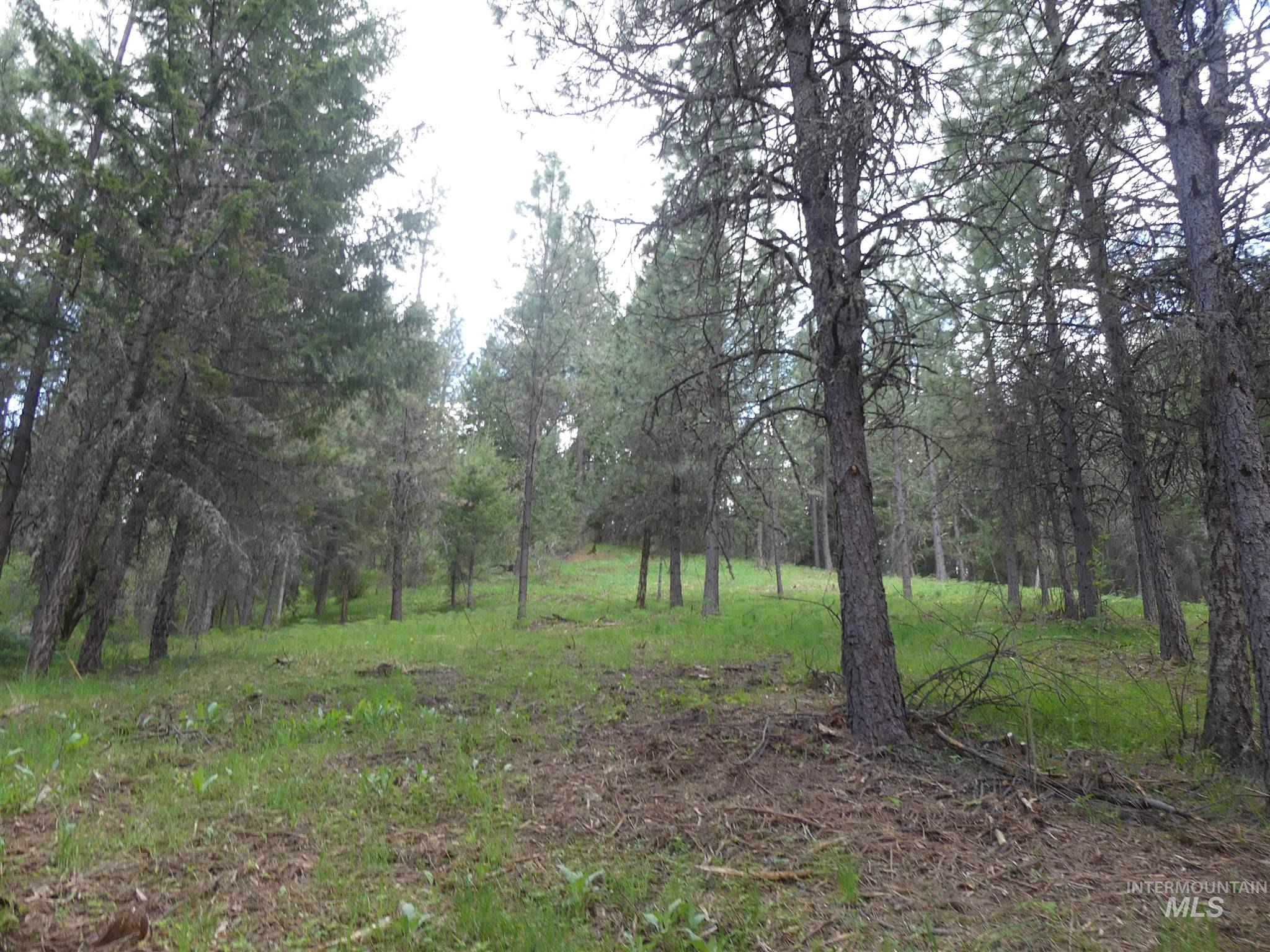 22743 Old Melrose Grade Road Peck, ID 83545 - Photo 18 of 45