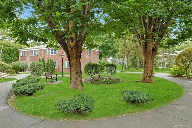 a view of a backyard with large trees