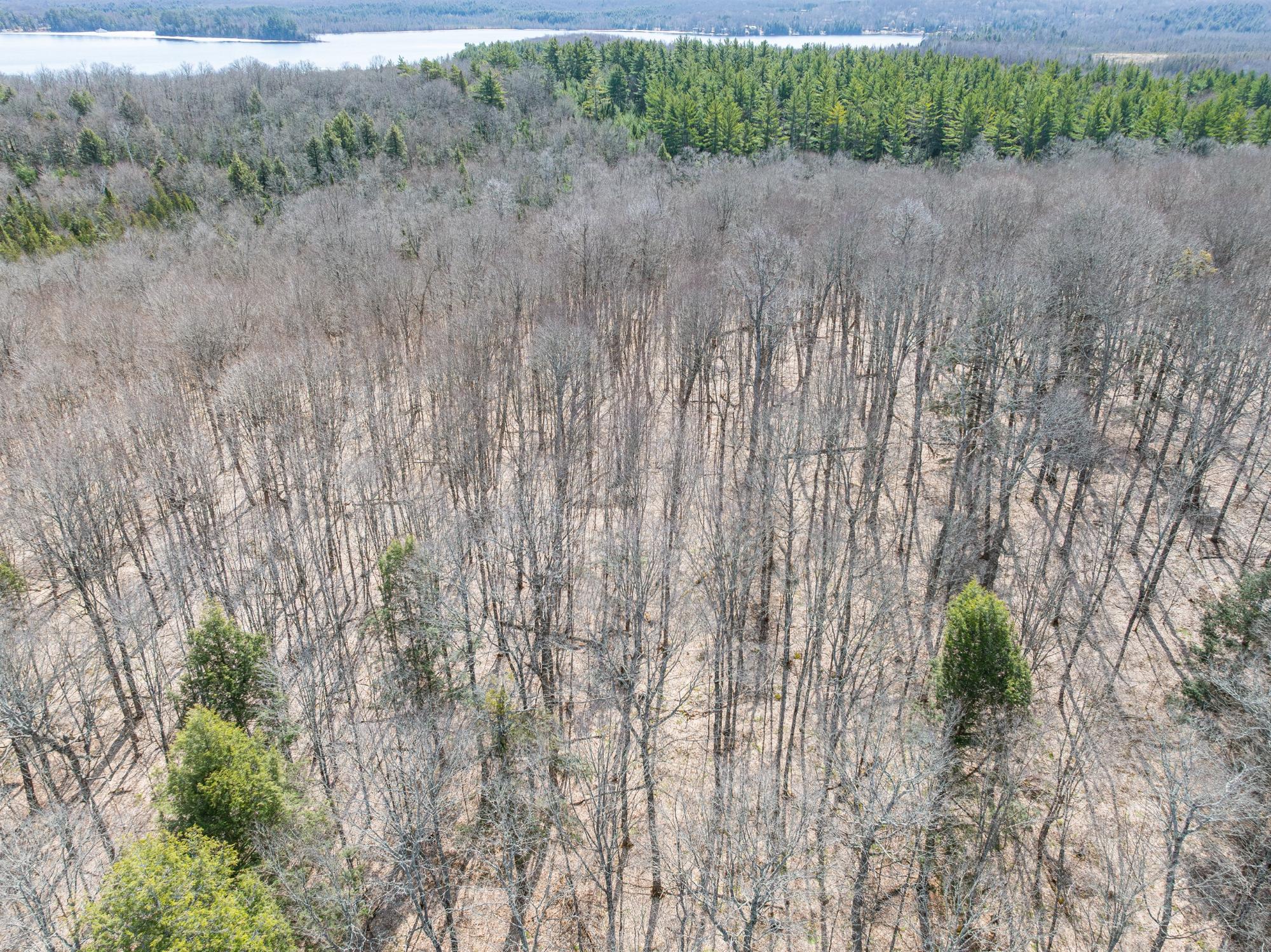 On Bear Tail Point Phelps, WI 54554 - Photo 7 of 52 Gallery Image 7