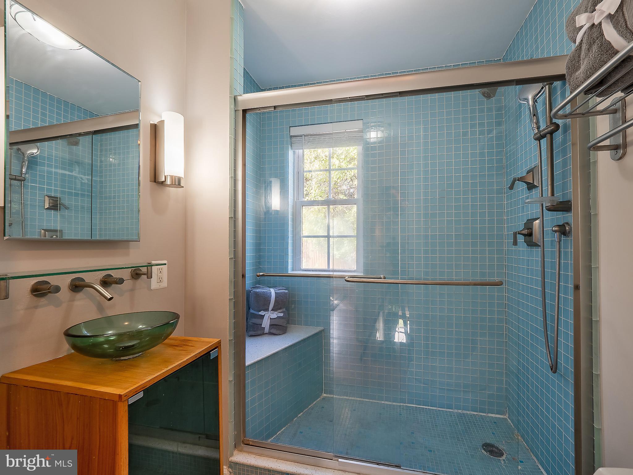4201 Garrett Park Road Silver Spring, MD 20906 - Photo 8 of 56 Walk-in shower