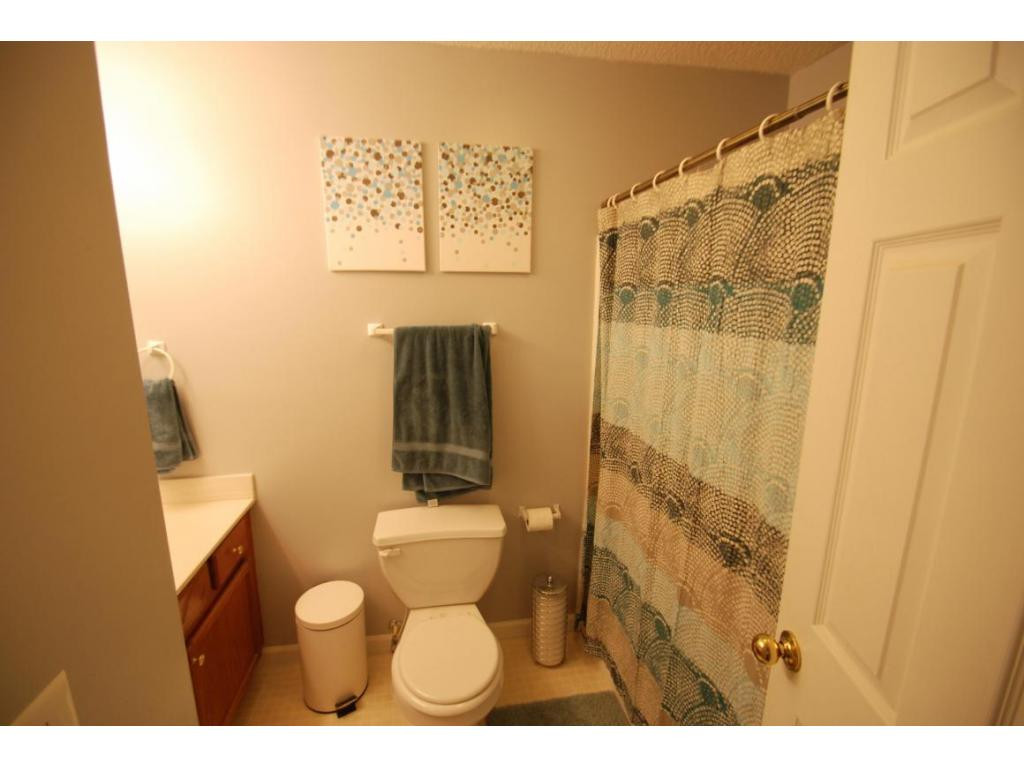 29 Maple Ridge Court Jonesborough, TN 37659 - Photo 9 of 20 Guest Bath
