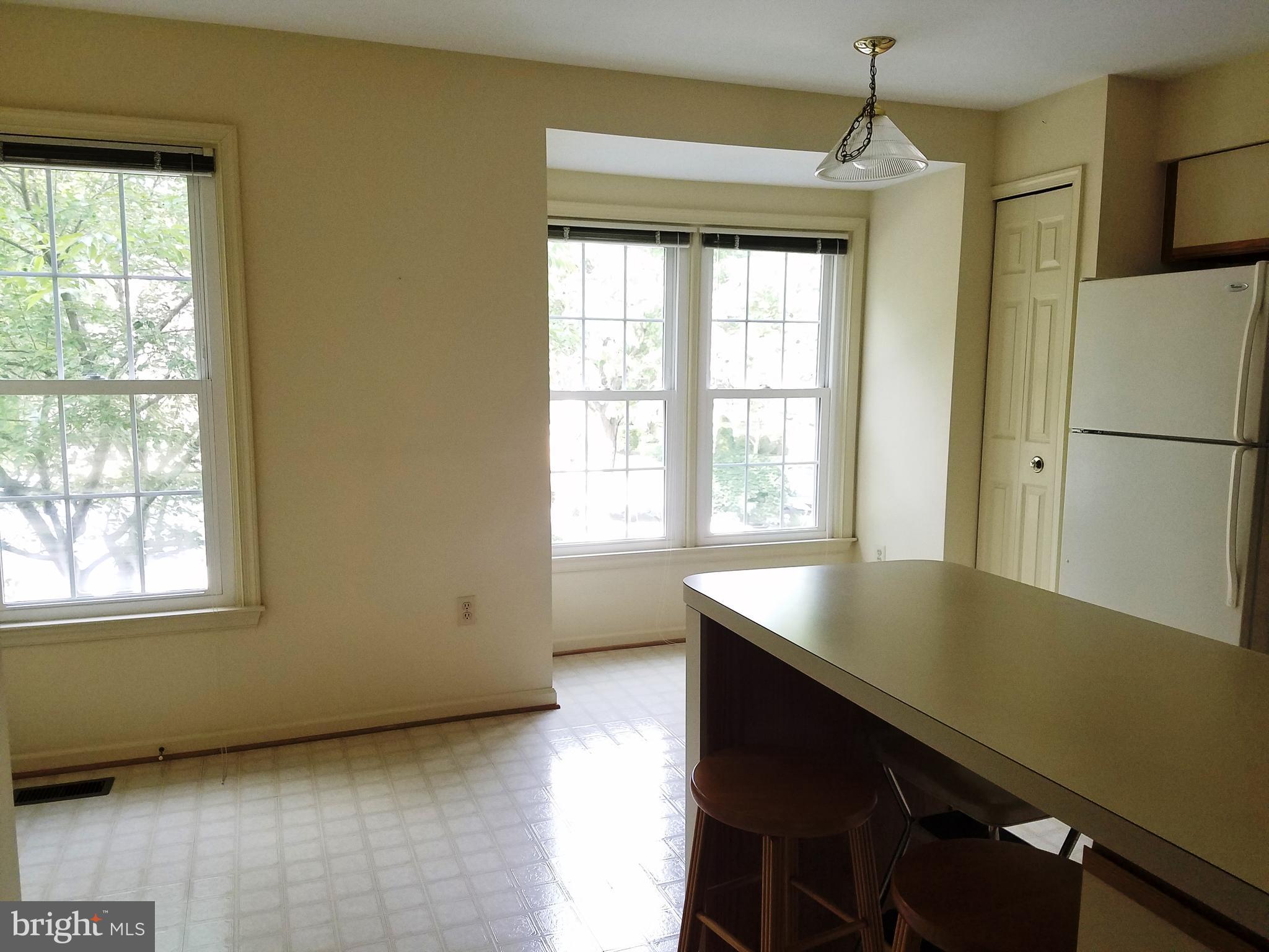 4705 Columbia Road Ellicott City, MD 21042 - Photo 11 of 28 Lots of Light