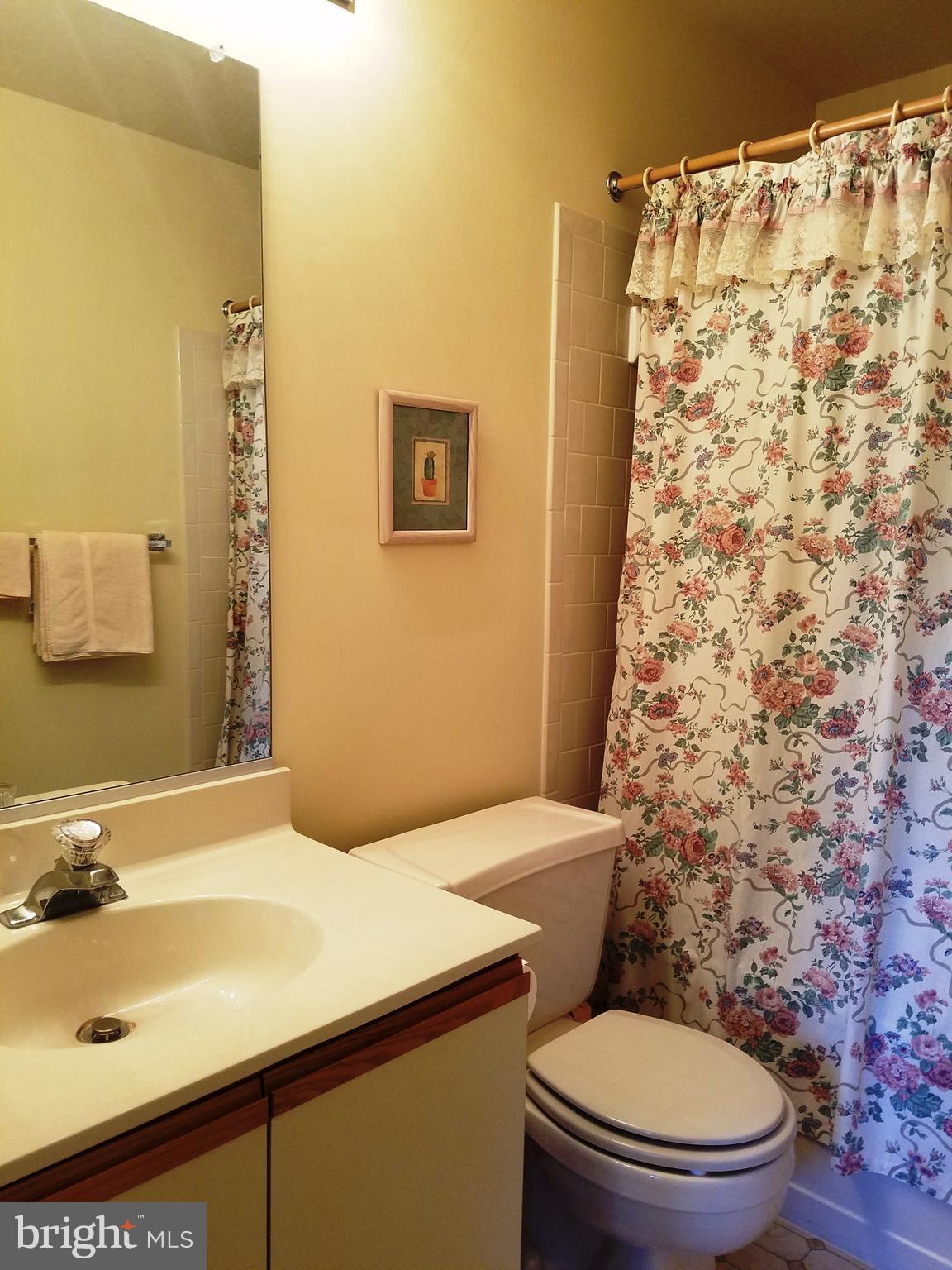 4705 Columbia Road Ellicott City, MD 21042 - Photo 17 of 28 Master Bath