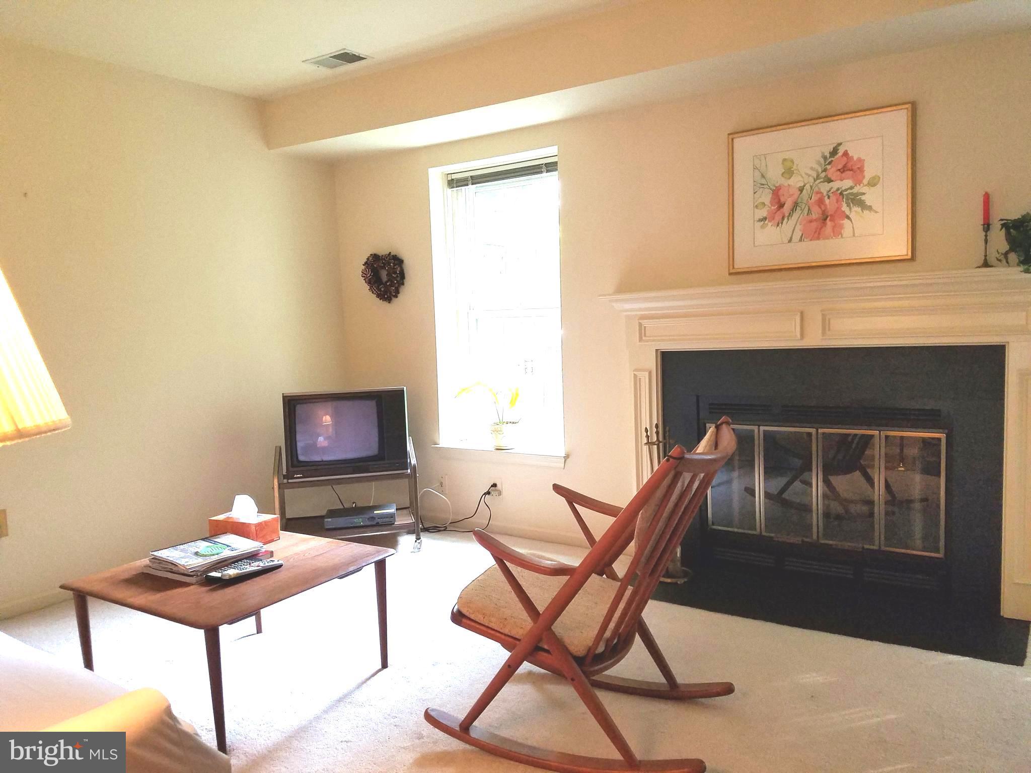 4705 Columbia Road Ellicott City, MD 21042 - Photo 22 of 28 Wood Burning Fireplace