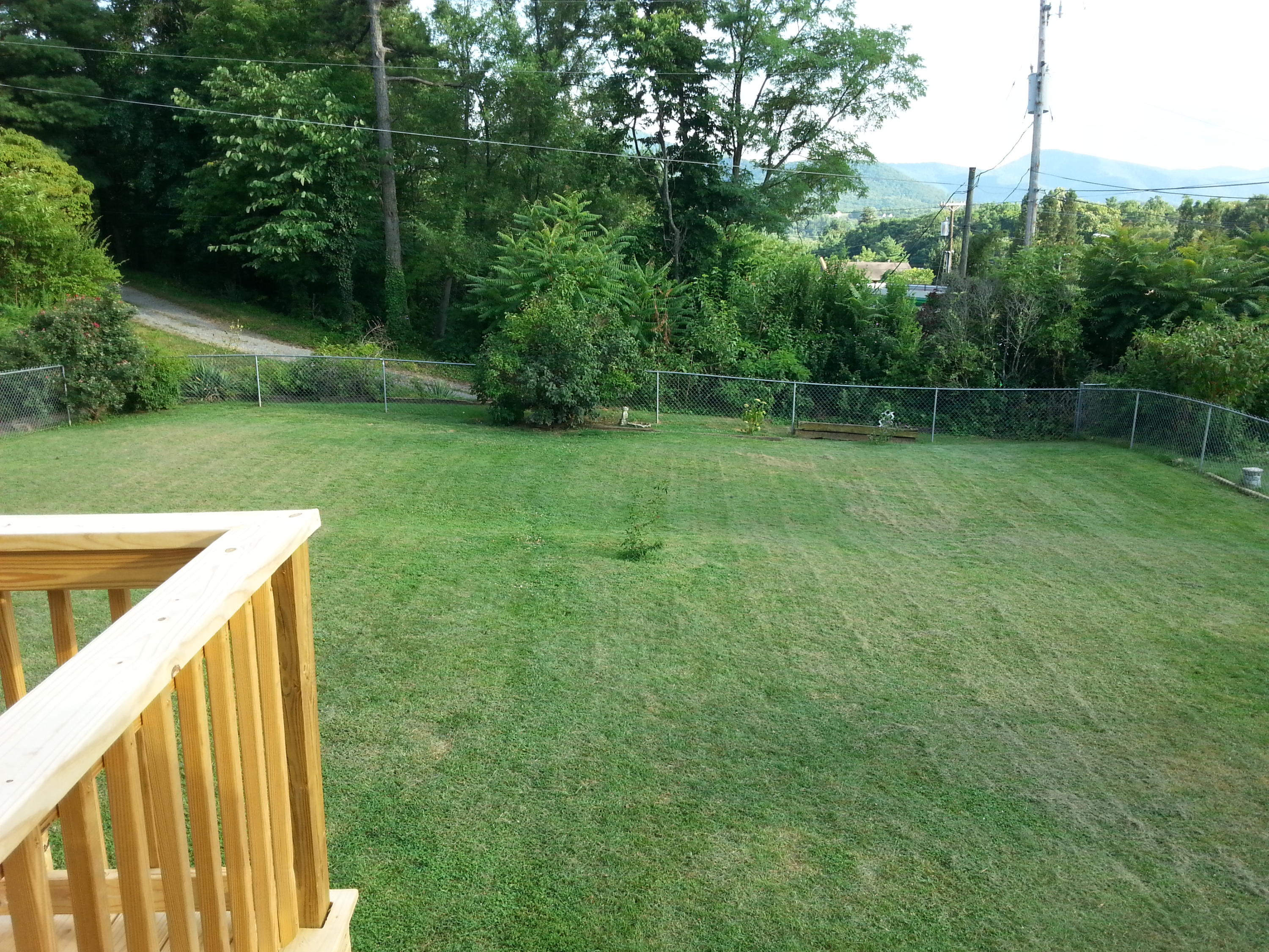 2021 Burma Road Salem, VA 24153 - Photo 13 of 13 a view of a backyard with a trees