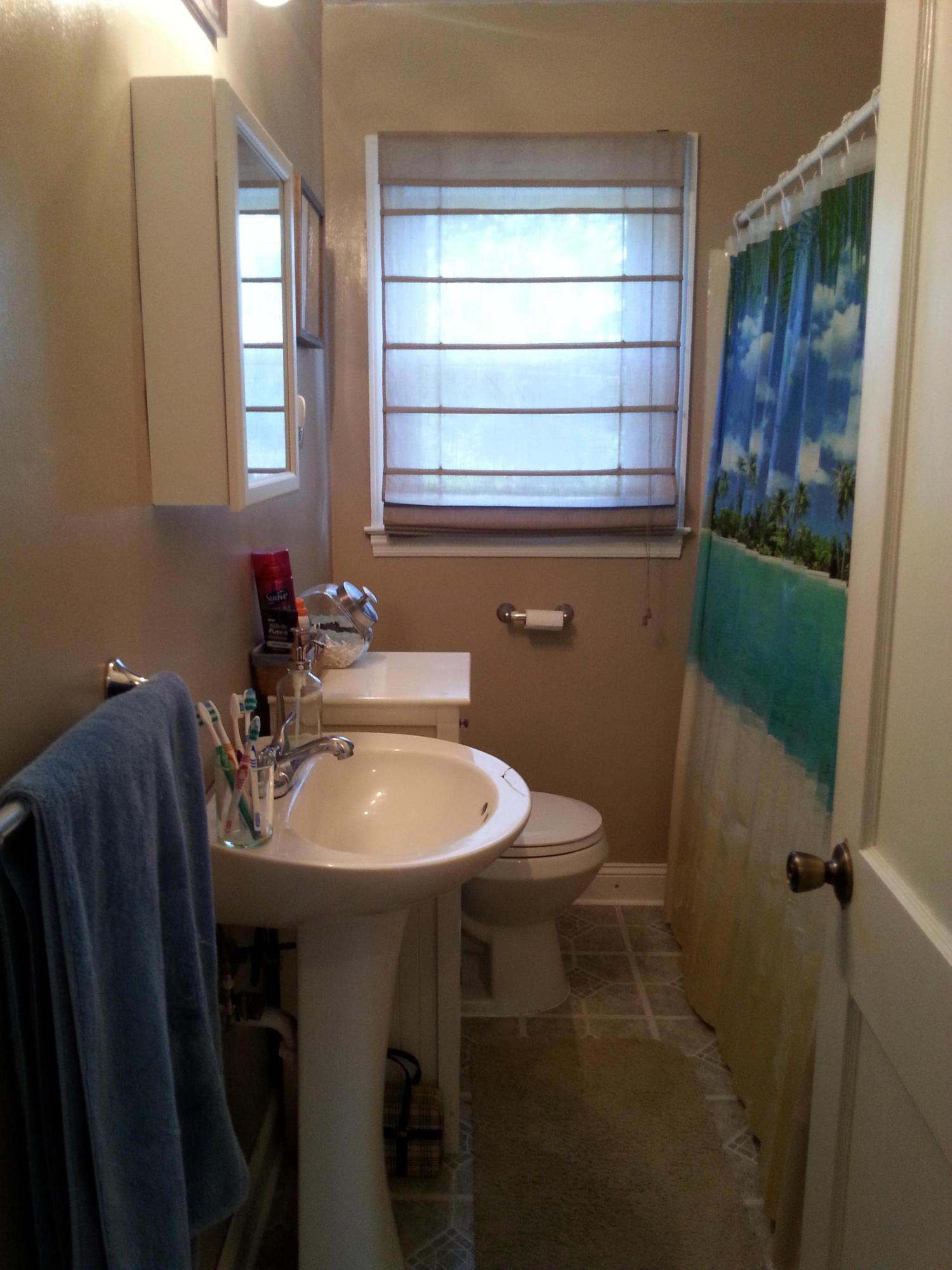 2021 Burma Road Salem, VA 24153 - Photo 8 of 13 a bathroom with a sink toilet and shower