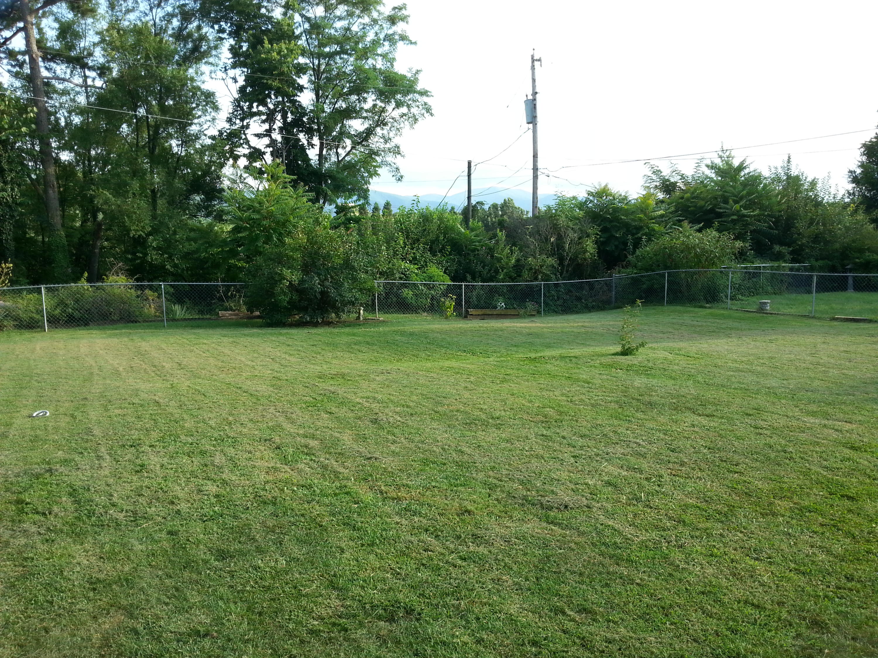 2021 Burma Road Salem, VA 24153 - Photo 10 of 13 a view of a field with a tree in the background
