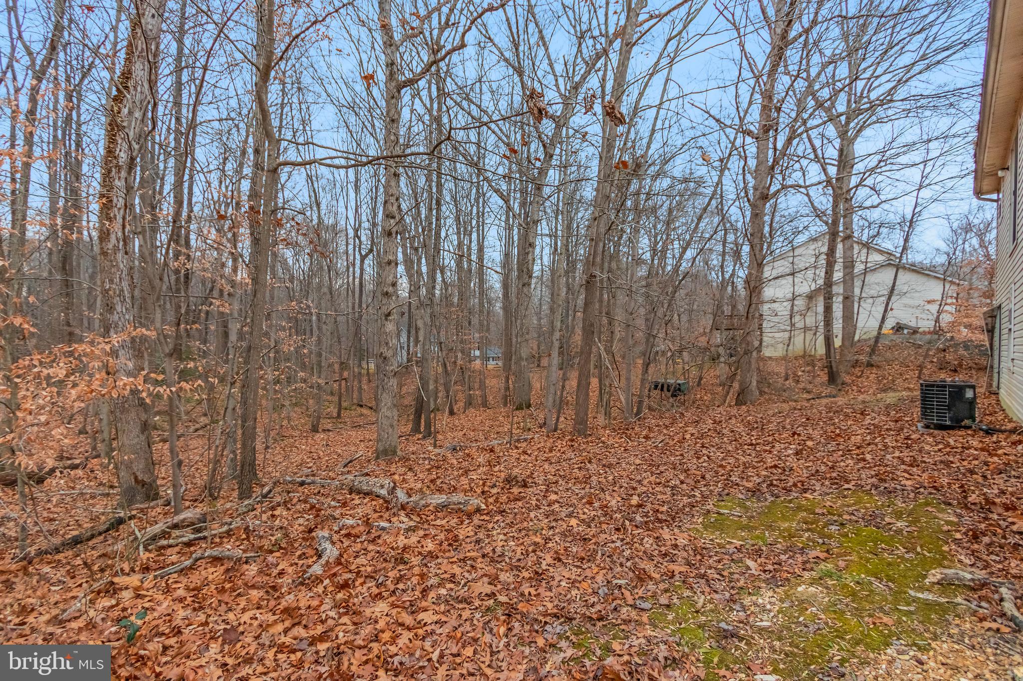 14107 Kydon Court Brandywine, MD 20613 - Photo 27 of 27 a big yard with lots of green space