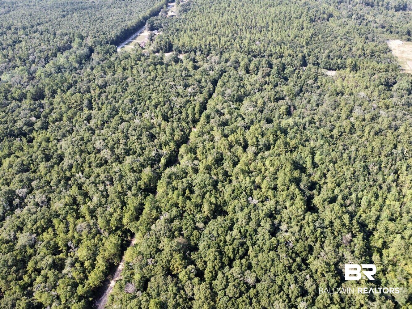 0 Bear Fork Road Mobile, AL 36618 - Photo 16 of 50