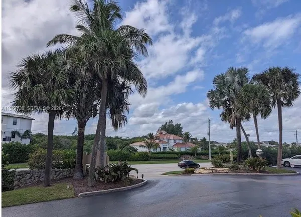 a park with palm trees