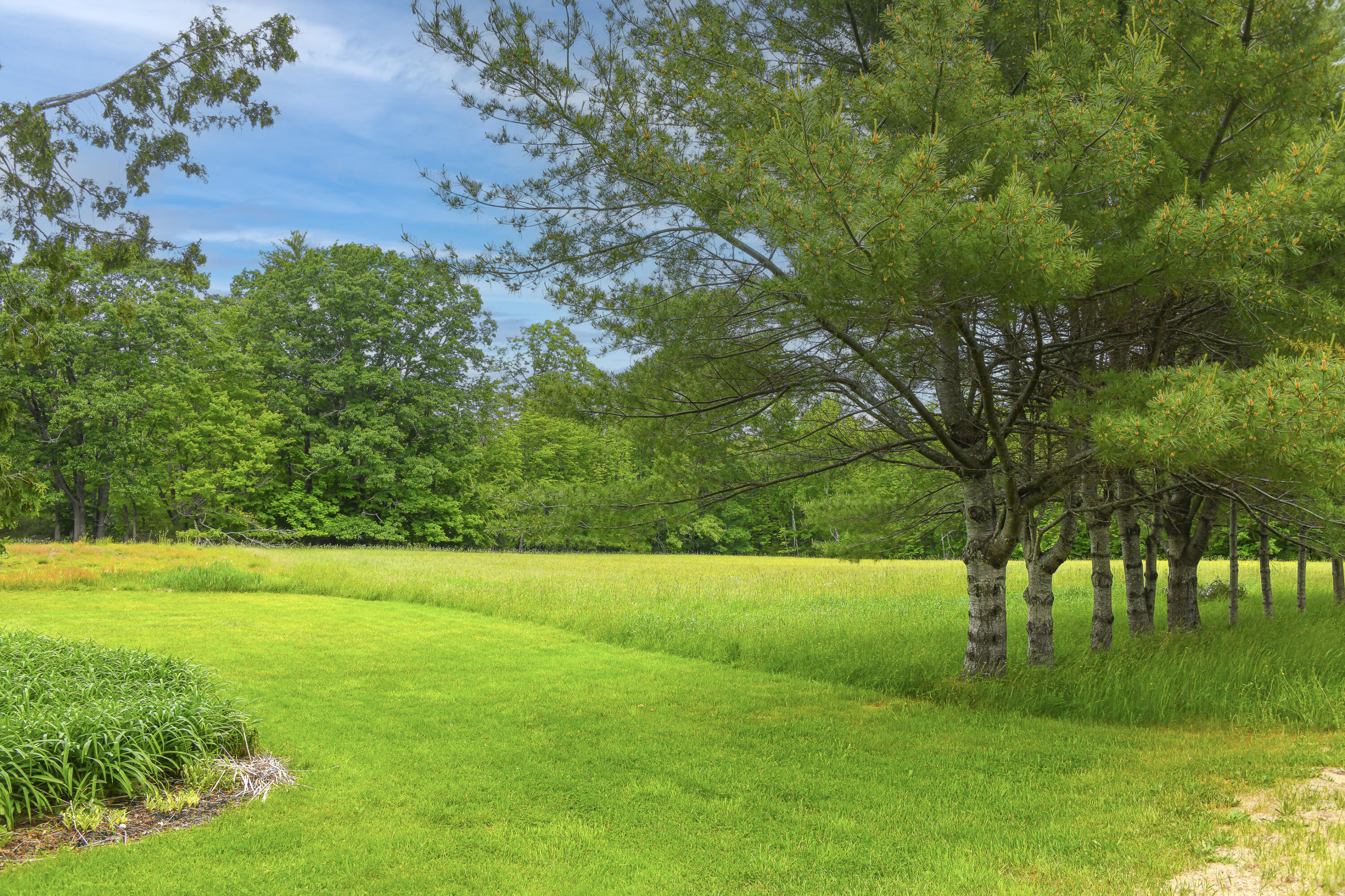 168 Wiley Road Naples, ME 04055 - Photo 11 of 58 168 wiley road 6-7-2023-8