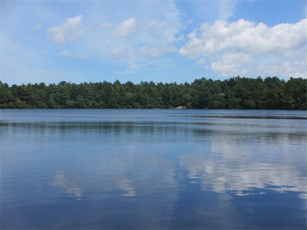 113 Glen Charlie Road Wareham, MA 02538 - Photo 3 of 11 Gallery Image 3