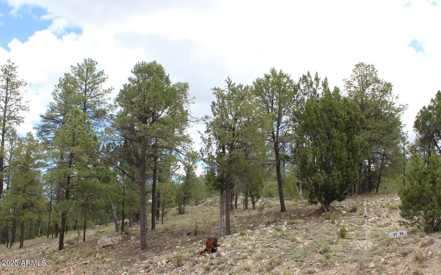3339 Sawmill Ridge Loop, Unit 97 Heber, AZ 85928 - Photo 3 of 5 a view of a forest filled with trees