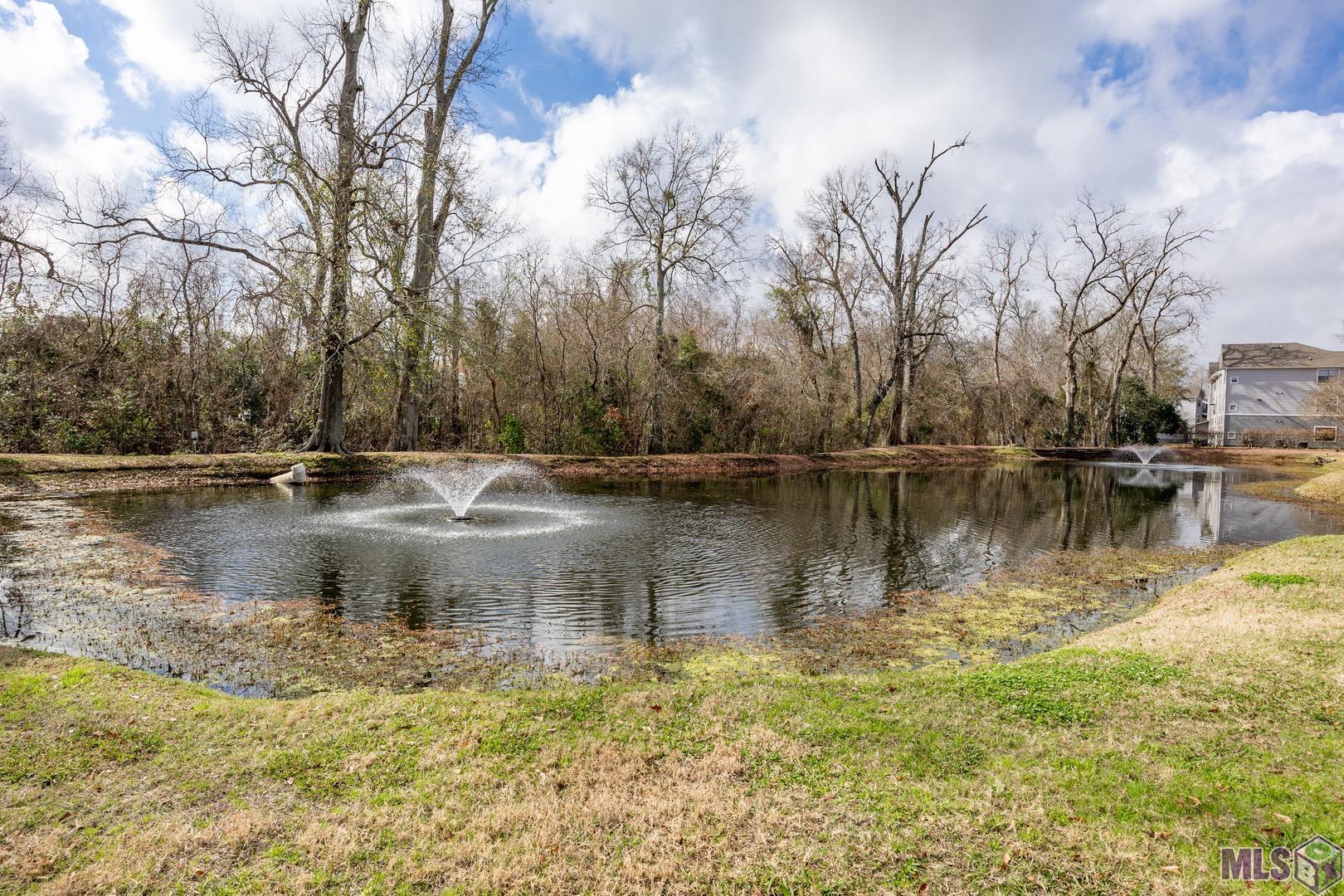 900 Dean Lee Drive, Unit 1404 Baton Rouge, LA 70820 - Photo 23 of 25