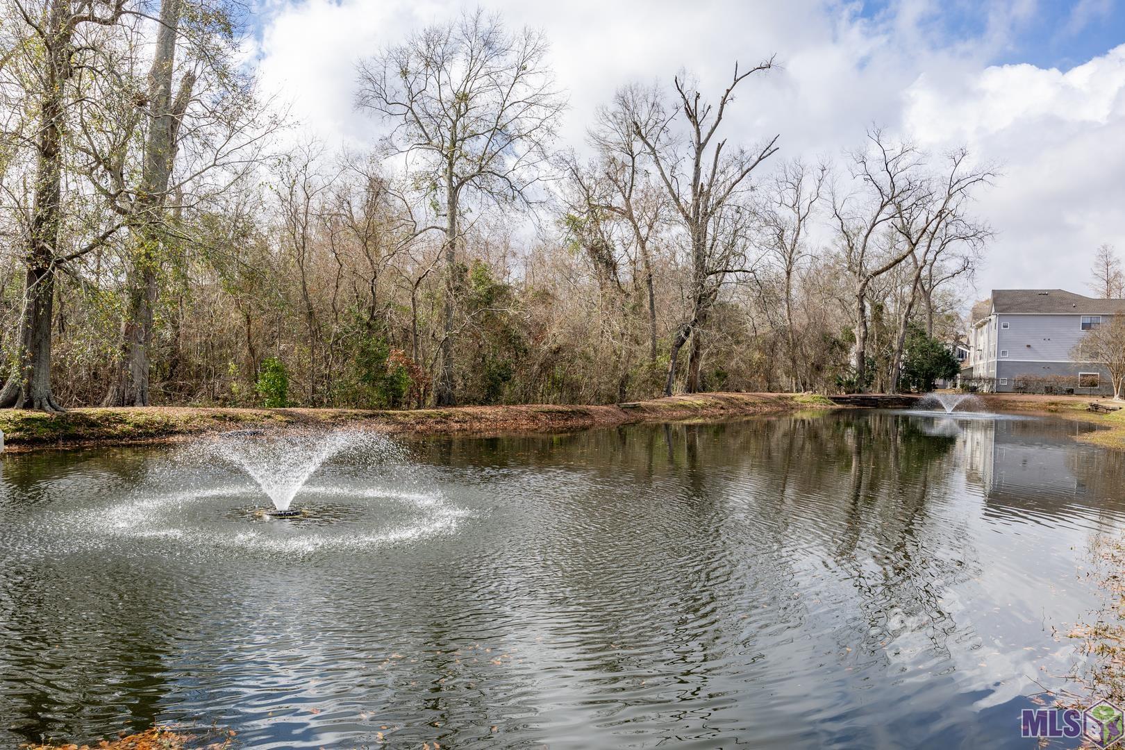 900 Dean Lee Drive, Unit 1404 Baton Rouge, LA 70820 - Photo 24 of 25