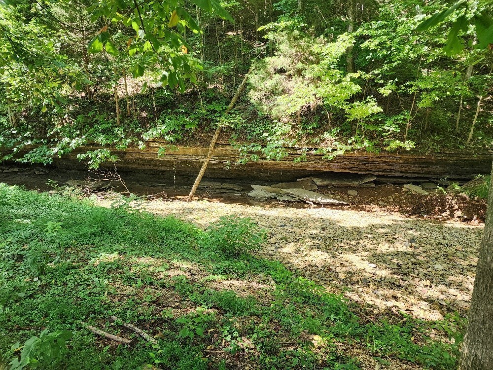 0 Taurus Farm Road Lafayette, TN 37083 - Photo 26 of 67 Gallery Image 26