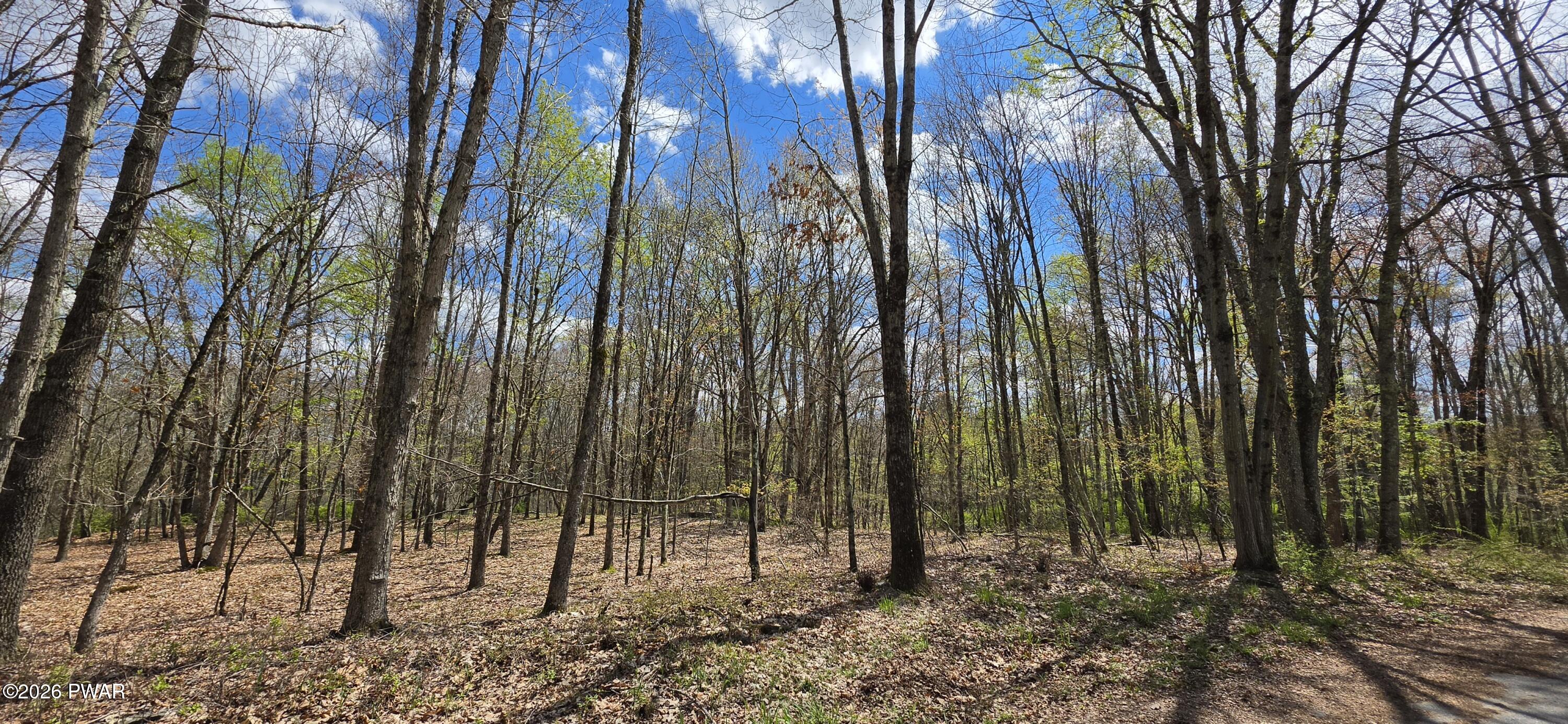 Lot 17.14 Skipperene Road Narrowsburg, NY 12764 - Photo 2 of 15
