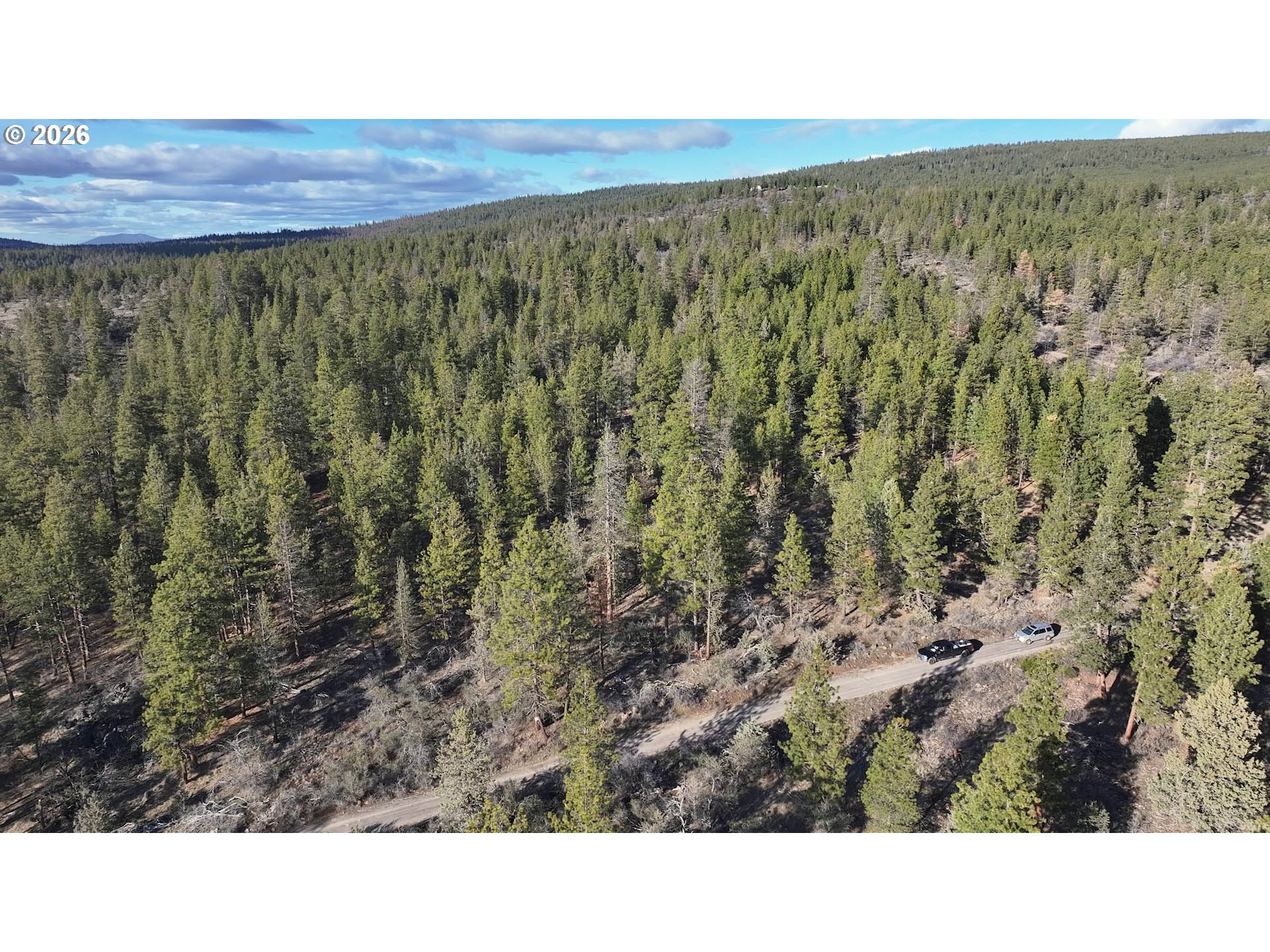 Badger Lane Bonanza, OR 97623 - Photo 13 of 33 a black and white photo of a forest