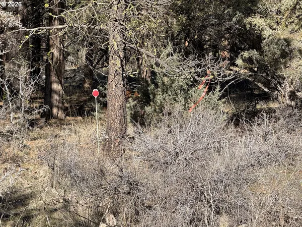 $17,000 | Badger Lane, Bonanza, OR 97623