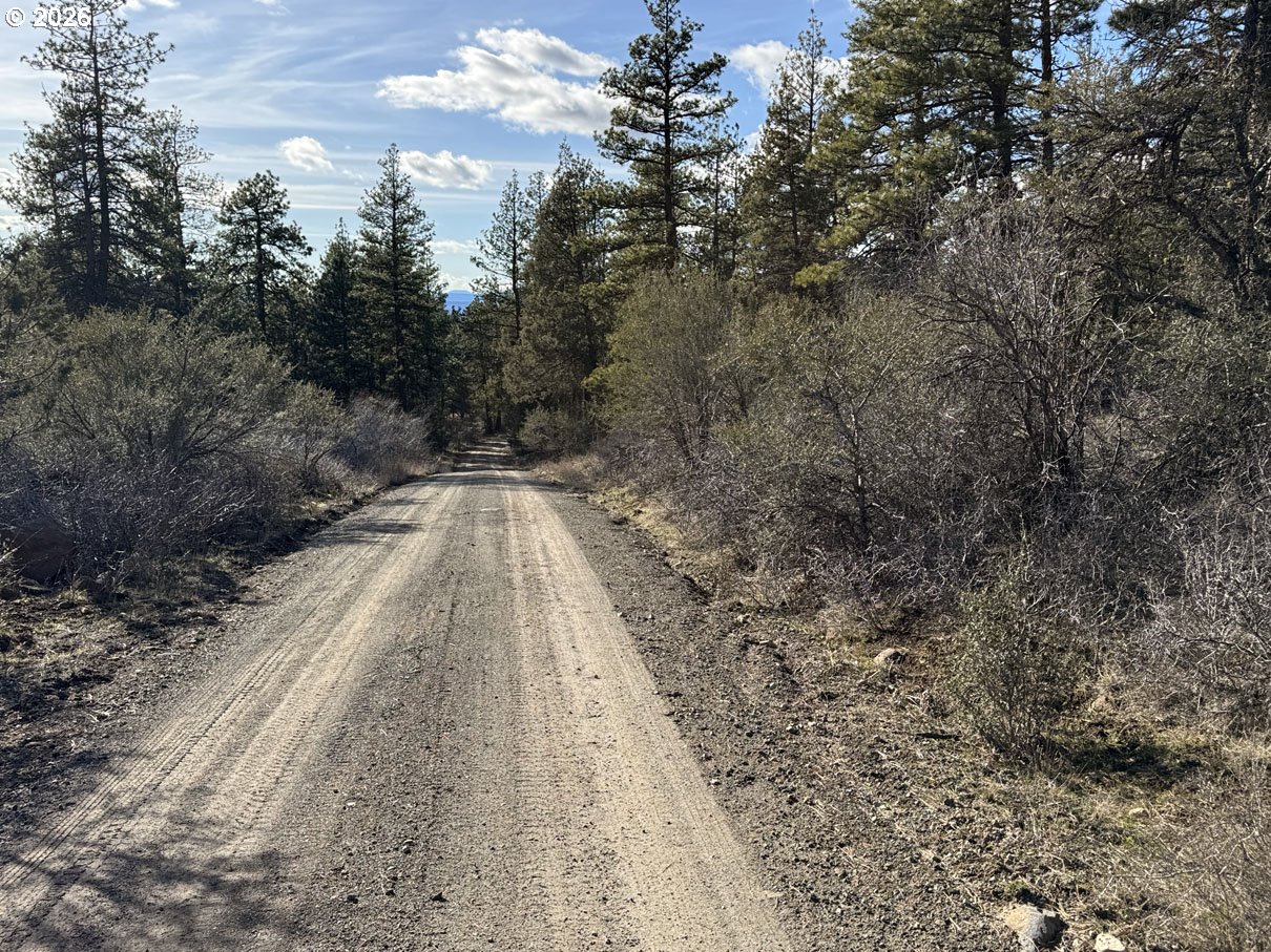 Badger Lane Bonanza, OR 97623 - Photo 19 of 33 a view of flowing water with large trees