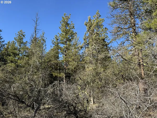$17,000 | Badger Lane, Bonanza, OR 97623