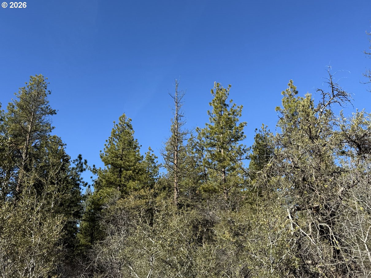 Badger Lane Bonanza, OR 97623 - Photo 21 of 33 a view of a city