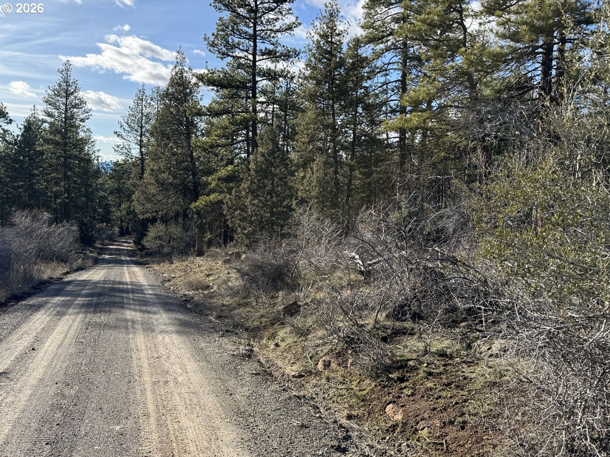 Badger Lane Bonanza, OR 97623 - Photo 22 of 33 a view of yard along with trees
