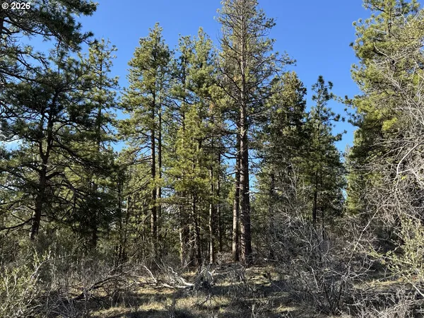 $17,000 | Badger Lane, Bonanza, OR 97623